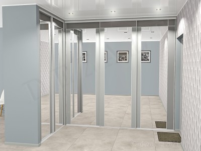 Двери купе с зеркалами